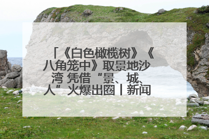 《白色橄榄树》《八角笼中》取景地沙湾 凭借“景、城、人”火爆出圈丨新闻发布最前线