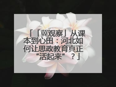 「冀观察」从课本到心田：河北如何让思政教育真正“活起来”？