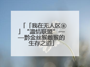 「我在无人区⑧」“温情联盟”——黔金丝猴雌猴的生存之道
