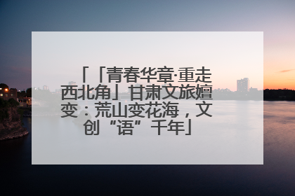 「青春华章·重走西北角」甘肃文旅嬗变：荒山变花海，文创“语”千年
