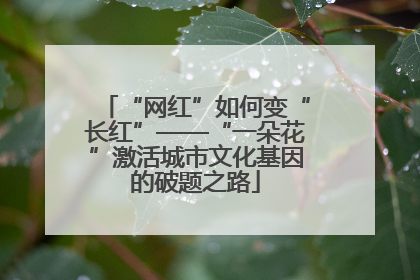 “网红”如何变“长红”——“一朵花”激活城市文化基因的破题之路