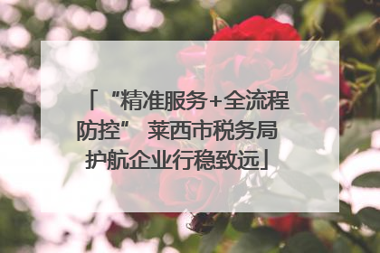 “精准服务+全流程防控” 莱西市税务局护航企业行稳致远