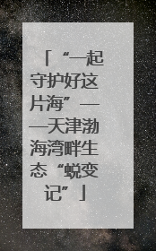 “一起守护好这片海”——天津渤海湾畔生态“蜕变记”