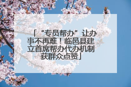 “专员帮办”让办事不再难！临邑县建立首席帮办代办机制获群众点赞
