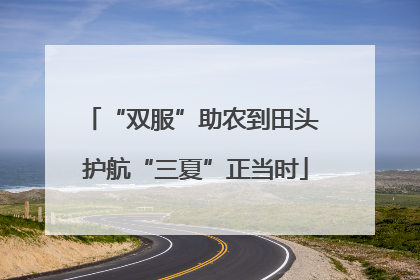 “双服”助农到田头 护航“三夏”正当时