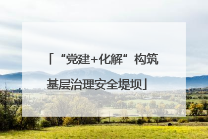 “党建+化解”构筑基层治理安全堤坝