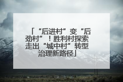 “后进村”变“后劲村”！胜利村探索走出“城中村”转型治理新路径