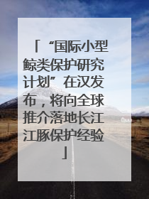 “国际小型鲸类保护研究计划”在汉发布，将向全球推介落地长江江豚保护经验
