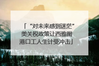 “对未来感到迷茫” 美关税政策让西雅图港口工人生计受冲击