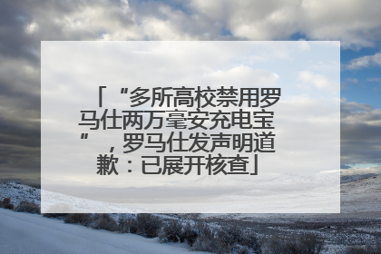 “多所高校禁用罗马仕两万毫安充电宝”，罗马仕发声明道歉：已展开核查
