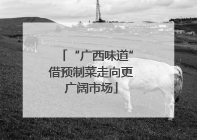 “广西味道”借预制菜走向更广阔市场