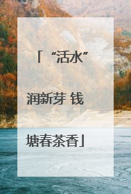 “活水”润新芽 钱塘春茶香