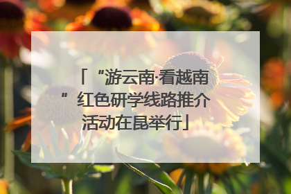 “游云南·看越南”红色研学线路推介活动在昆举行