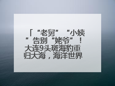 “老舅”“小姨”告别“姥爷”！大连9头斑海豹重归大海，海洋世界：它们已具备野外生存能力