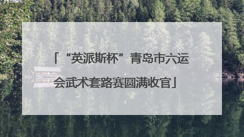 “英派斯杯”青岛市六运会武术套路赛圆满收官