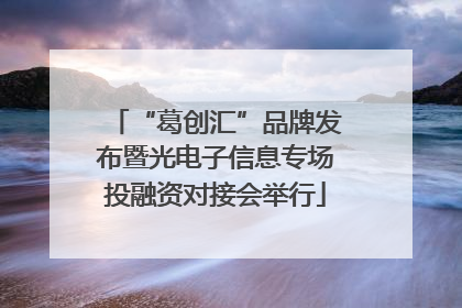 “葛创汇”品牌发布暨光电子信息专场投融资对接会举行