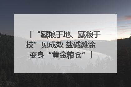 “藏粮于地、藏粮于技”见成效 盐碱滩涂变身“黄金粮仓”