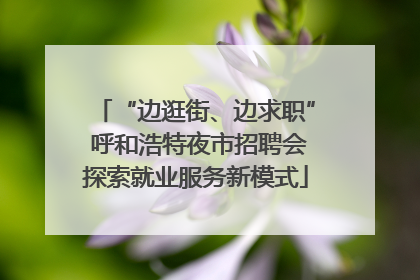“边逛街、边求职” 呼和浩特夜市招聘会探索就业服务新模式