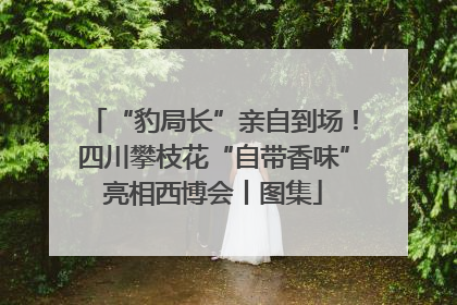 “豹局长”亲自到场！四川攀枝花“自带香味”亮相西博会丨图集