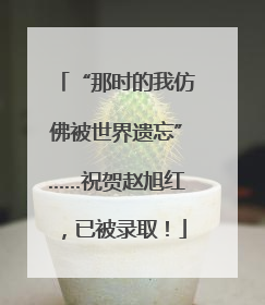 “那时的我仿佛被世界遗忘”……祝贺赵旭红，已被录取！