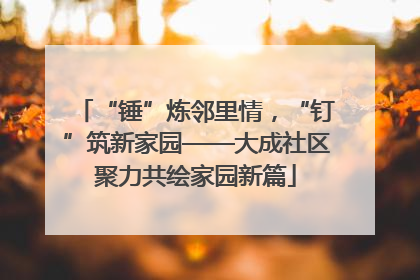 “锤”炼邻里情，“钉”筑新家园——大成社区聚力共绘家园新篇