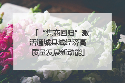 “隽商回归”激活通城县域经济高质量发展新动能