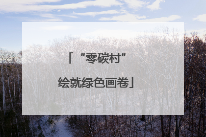 “零碳村” 绘就绿色画卷