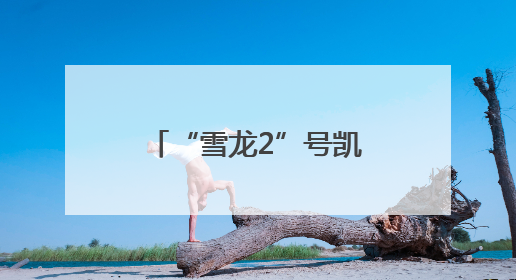 “雪龙2”号凯旋！中国第41次南极考察队顺利完成全部考察任务
