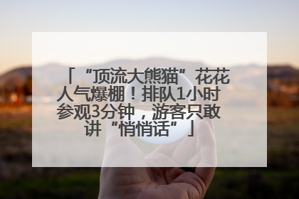 “顶流大熊猫”花花人气爆棚！排队1小时参观3分钟，游客只敢讲“悄悄话”