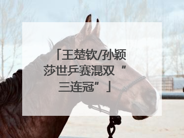 王楚钦/孙颖莎世乒赛混双“三连冠”