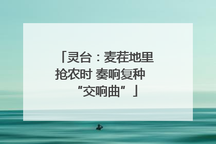 灵台：麦茬地里抢农时 奏响复种“交响曲”