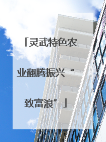 灵武特色农业翻腾振兴“致富浪”