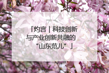 灼言｜科技创新与产业创新共融的“山东范儿”
