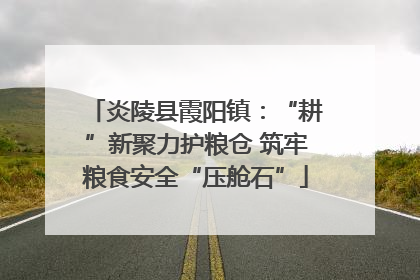 炎陵县霞阳镇：“耕”新聚力护粮仓 筑牢粮食安全“压舱石”