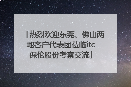 热烈欢迎东莞、佛山两地客户代表团莅临itc保伦股份考察交流