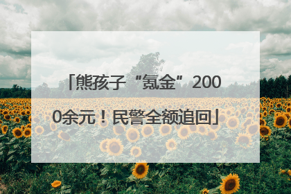 熊孩子“氪金”2000余元！民警全额追回