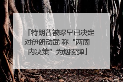 特朗普被曝早已决定对伊朗动武 称“两周内决策”为烟雾弹