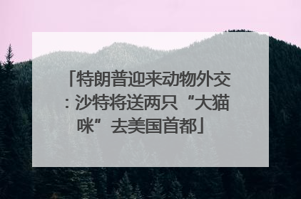 特朗普迎来动物外交：沙特将送两只“大猫咪”去美国首都