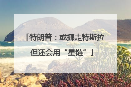 特朗普：或挪走特斯拉 但还会用“星链”