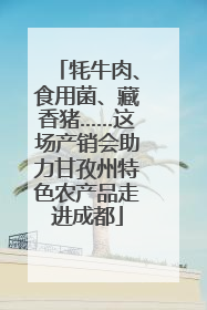 牦牛肉、食用菌、藏香猪……这场产销会助力甘孜州特色农产品走进成都