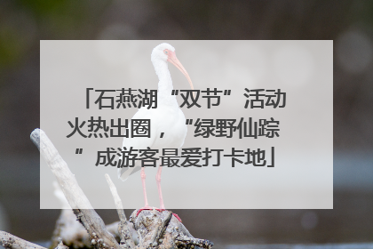 石燕湖“双节”活动火热出圈，“绿野仙踪”成游客最爱打卡地