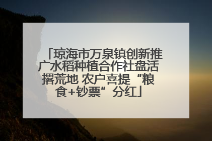 琼海市万泉镇创新推广水稻种植合作社盘活撂荒地 农户喜提“粮食+钞票”分红