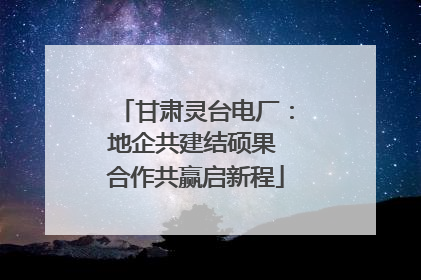 甘肃灵台电厂：地企共建结硕果 合作共赢启新程