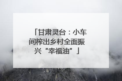 甘肃灵台：小车间榨出乡村全面振兴“幸福油”