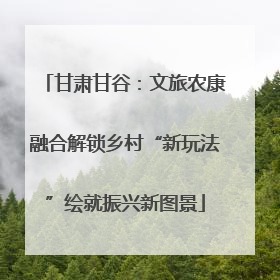 甘肃甘谷：文旅农康融合解锁乡村“新玩法”绘就振兴新图景
