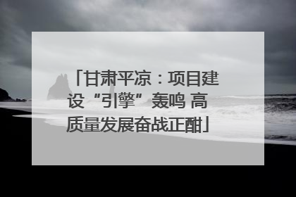 甘肃平凉：项目建设“引擎”轰鸣 高质量发展奋战正酣