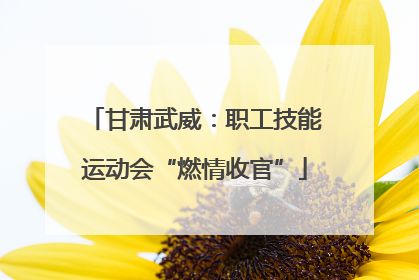 甘肃武威：职工技能运动会“燃情收官”