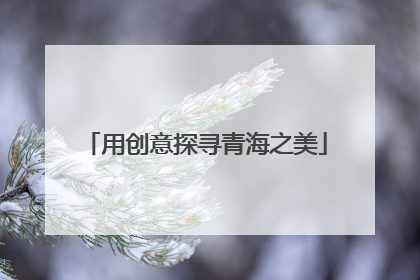 用创意探寻青海之美
