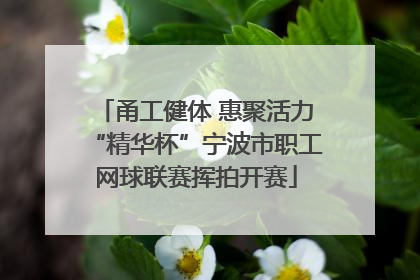 甬工健体 惠聚活力“精华杯”宁波市职工网球联赛挥拍开赛