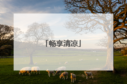 畅享清凉